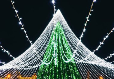Vilnius Katedrali meydanında Noel ağacı