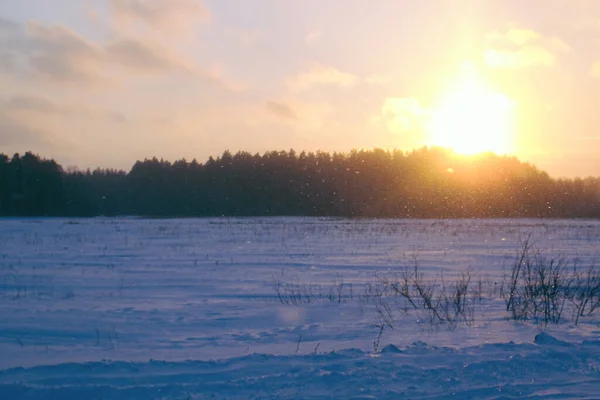 Sonnenaufgang im Winter Schnee Wald Hintergrundlandschaft und kalte Natur — Stockfoto