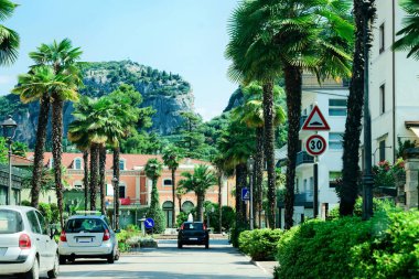 Arco palmiye ağaçları üzerinde arabalarla manzara