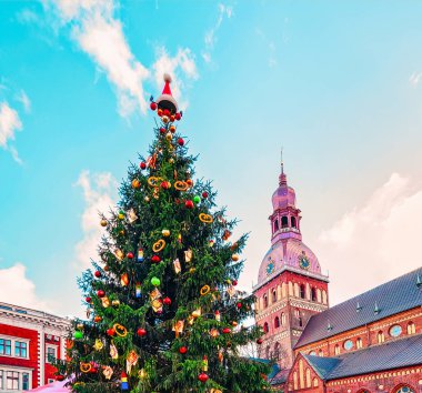 Riga 'daki Kubbe Katedrali' nde Noel ağacı.
