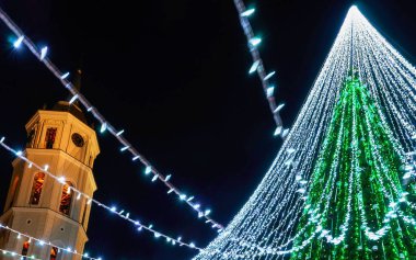 Vilnius 'taki Noel ağacı ve Katedral çan kulesi.