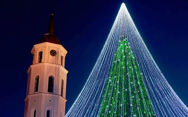 Árbol de Navidad y campanario Vilnius por la noche nuevo —  Fotos de Stock