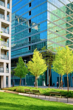 Camdan İş Ofisi Modern Şehir Yeşil Ağaçları Viyana mimarisi