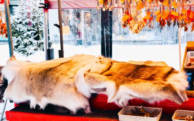 Ren geyiği kürkü ve boynuz refleksi gibi kış Saami hatıraları