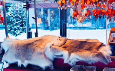 Rovaniemi refleksinde ren geyiği kürklü market tezgahı