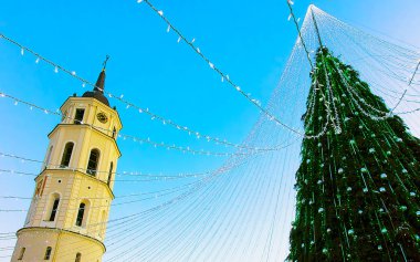Noel ağacı ve Katedral çan kulesi Vilnius Advent akşam refleksi