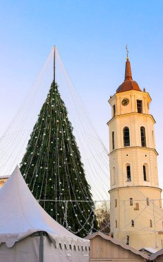 Noel ağacı ve Katedral çan kulesi Litvanya Vilnius Advent refleksi