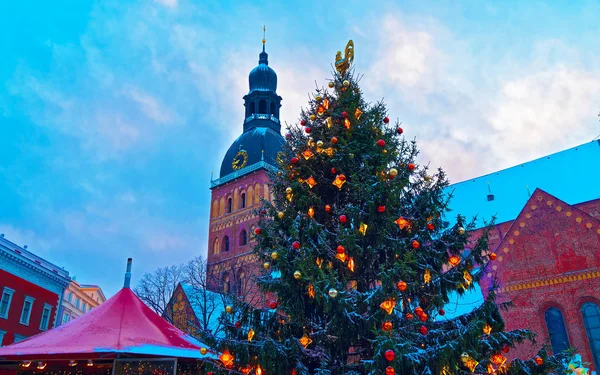 Verlichte kerstboom verlicht op de kerstmarkt reflex — Stockfoto