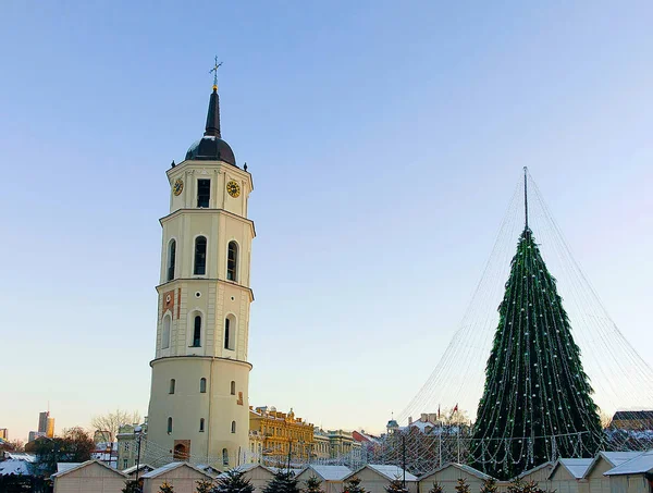 Árbol de Navidad y campanario de la Catedral Lituania en Vilna Reflejo de Adviento —  Fotos de Stock