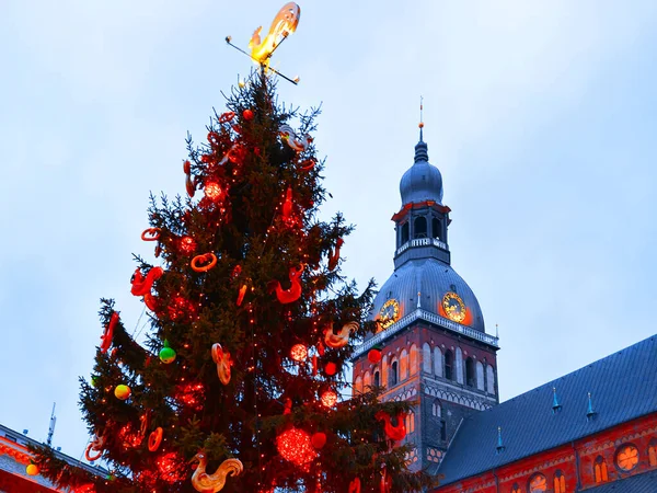 Catedral de Riga Dome y árbol de Navidad en Old Town reflex —  Fotos de Stock