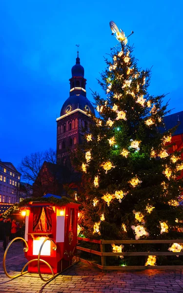 Árvore de Natal na Catedral de Riga no inverno quadrado de cúpula reflexo de Riga — Fotografia de Stock