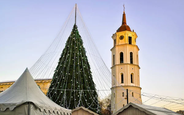 Árbol de Navidad y campanario de la Catedral Vilnius Lituania antes de Navidad reflex —  Fotos de Stock