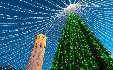 Vilnius Advent refleksindeki Noel ağacı ve Katedral çan kulesi