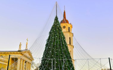 Noel ağacı ve Katedral çan kulesi Vilnius Xmas refleksinden önce