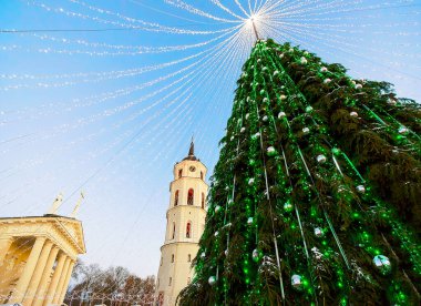 Vilnius Litvanya 'daki Noel ağacı ve Katedral çan kulesi