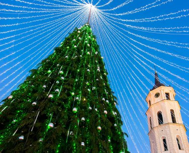 Noel ağacı ve Katedral çan kulesi Vilnius akşam refleksinde