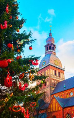 Riga 'daki Kubbe Katedrali ve Noel ağacı Eski Şehir Kış Refleksi