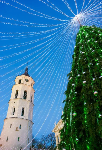 Árbol de Navidad y campanario Catedral Vilnius Adviento en reflejo de la noche —  Fotos de Stock