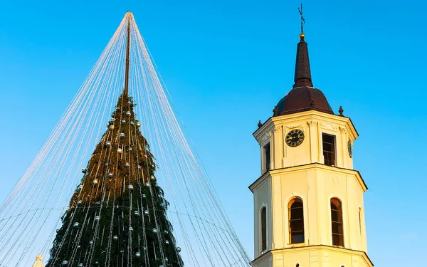 Noel ağacı ve Katedral çan kulesi Vilnius Litvanya refleksi — Stok fotoğraf