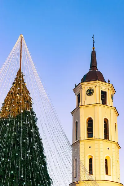 Christmas tree and Cathedral bell tower of Vilnius Lithuania Advent reflex — стокове фото