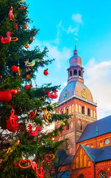 Catedral de la Cúpula y árbol de Navidad en la ciudad vieja de Riga reflejo de invierno —  Fotos de Stock