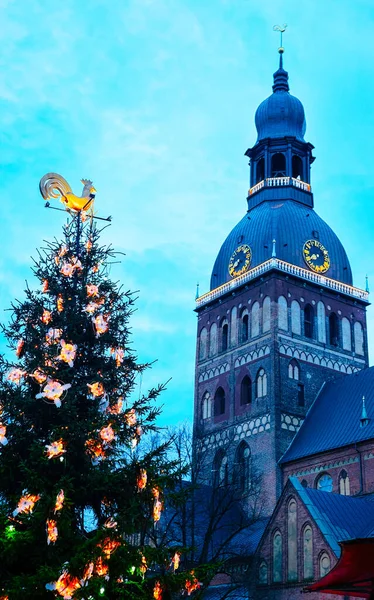 Árvore de Natal e Catedral de Riga no Dome quadrado de inverno reflexo de Riga — Fotografia de Stock