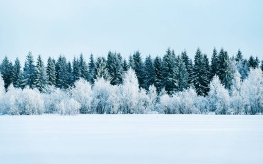 Karlı kırsal ve ormanlarda kışın Rovaniemi refleksi
