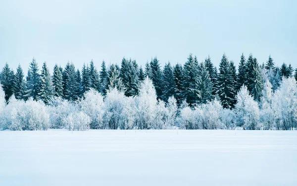 Campo nevado e floresta no inverno reflexo de Rovaniemi — Fotografia de Stock