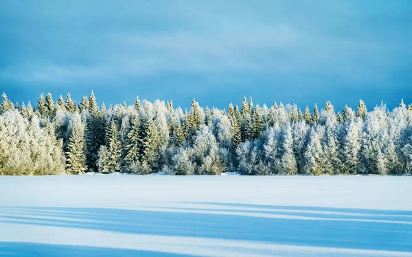 Campo nevado e floresta inverno reflexo de Rovaniemi — Fotografia de Stock