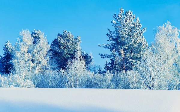 Снежно-лесная зима в Финляндии — стоковое фото