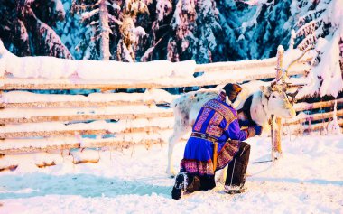Finlandiya 'daki Ren geyiğinde geleneksel Saami giysili adam refleksi