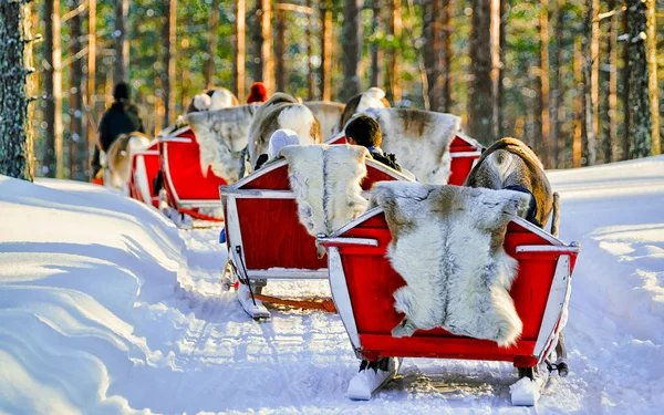 Persone Renna slitta caravan inverno Rovaniemi foresta riflesso — Foto Stock