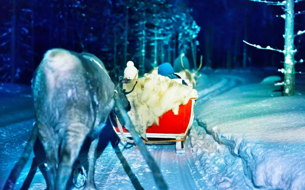 Ludzie sanki reniferów w nocy safari w Laponii odruch Finlandii — Zdjęcie stockowe