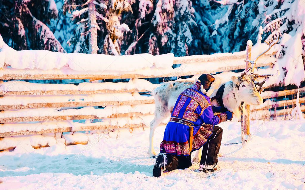 Man in Saami traditional garment at Reindeer in Finland reflex