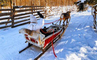 Kışın ren geyiği kızağı sürerken Rovaniemi refleksi