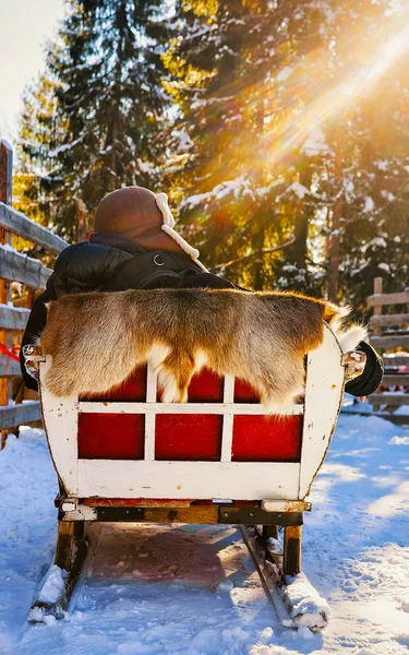 Hombre en paseo en trineo de renos en invierno Rovaniemi reflejo del norte de Finlandia —  Fotos de Stock