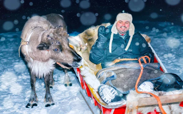 Hombre en trineo de renos en safari nocturno en Laponia reflejo de Finlandia —  Fotos de Stock