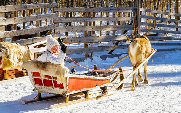 Menina no trenó de rena no inverno reflexo de Rovaniemi — Fotografia de Stock