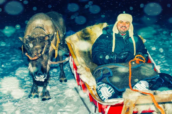 Hombre en trineo de renos en safari nocturno en Laponia reflejo de Finlandia —  Fotos de Stock