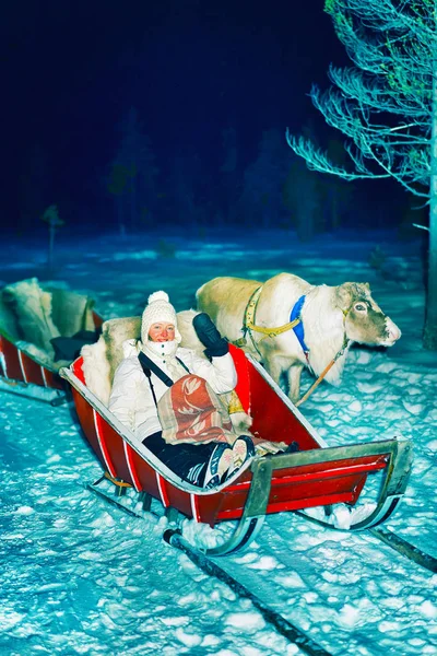 Girl with reindeer sleigh at night safari forest Rovaniemi reflex — Stock Photo, Image