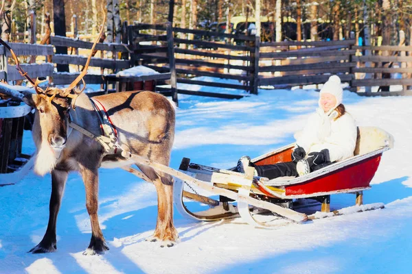 Mulher sorridente no passeio de trenó de rena no inverno reflexo de Rovaniemi — Fotografia de Stock