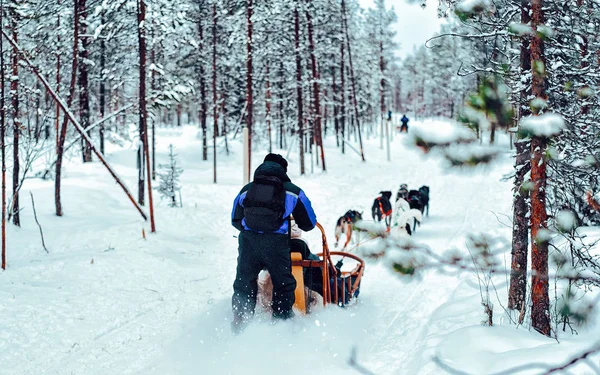 Family riding Husky dog sled in Finland in Lapland winter reflex — Stock Photo, Image