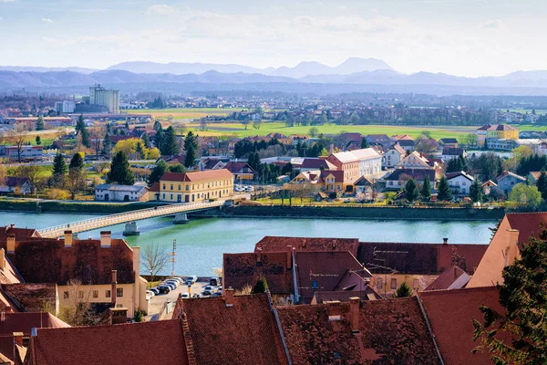 Panoramautsikt i Ptuj gamla stan och Drava floden Slovenien — Stockfoto