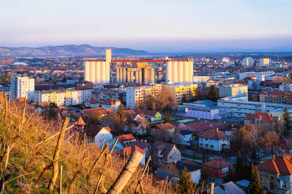 Romantická krajina a město na vinicích v Mariboru — Stock fotografie