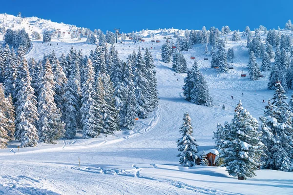 Röda stolen hissar och skog på Zillertal Arena Tyrolen Österrike — Stockfoto