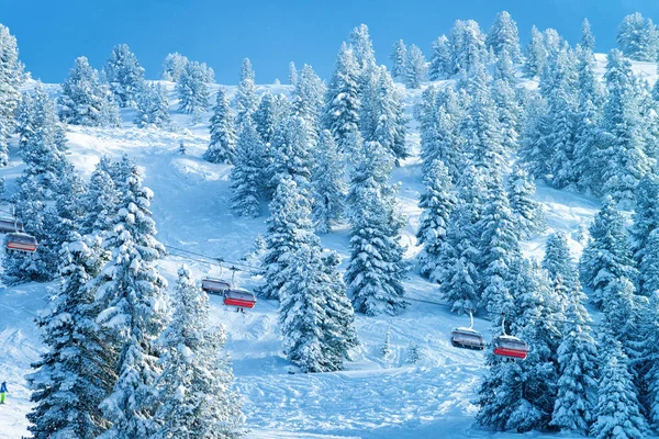 Röda stolen hissar och skog i Zillertal Arena Tyrolen Österrike — Stockfoto