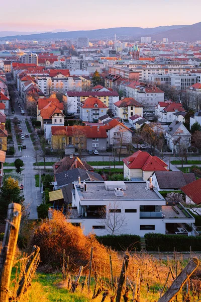 Romantická krajina s městskou krajinou s vinicemi v Mariboru — Stock fotografie