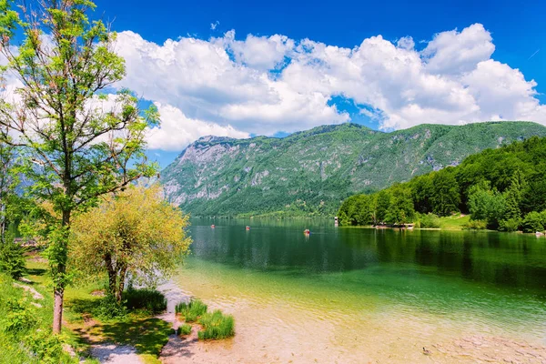 Landskap vid Bohinjsjön Slovenien — Stockfoto