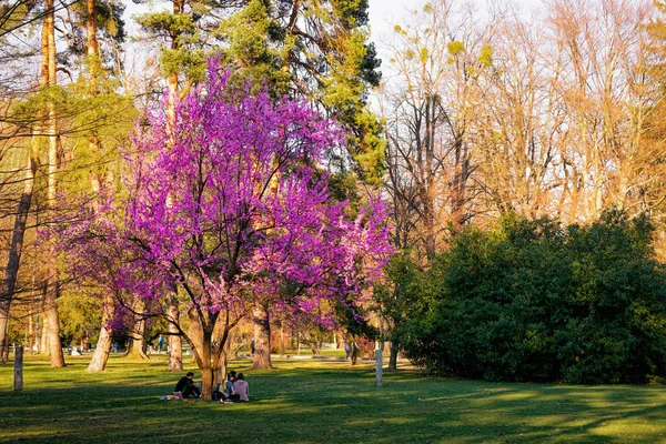 Mestni City Park Maribor 'daki Romantik Peyzaj — Stok fotoğraf