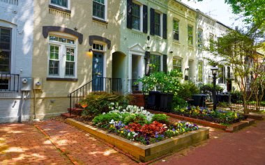 Washington DC sokaklarında beyaz binalar